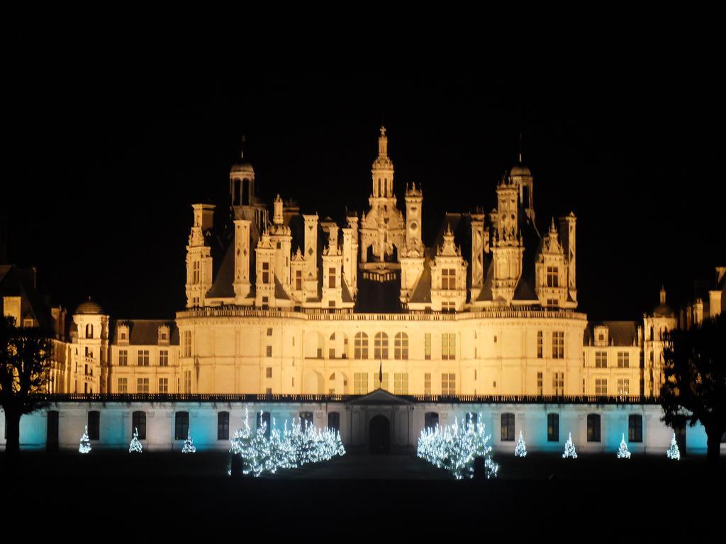 Auberge Du Grand Dauphin Dhuizon エクステリア 写真